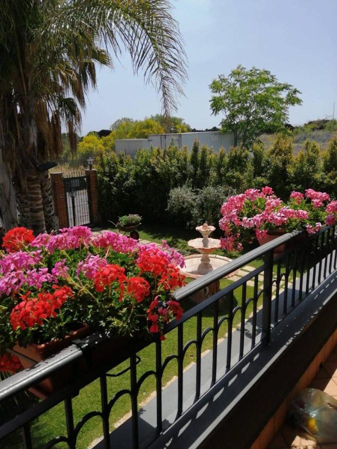 B&B Villa Salome' San Pietro Clarenza Buitenkant foto
